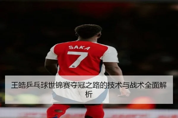 王皓乒乓球世锦赛夺冠之路的技术与战术全面解析