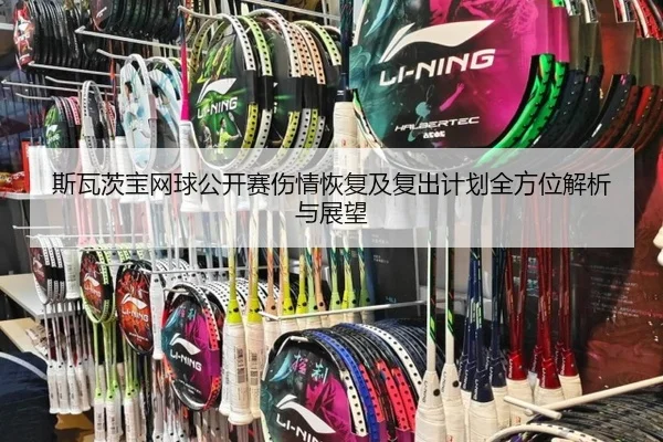 斯瓦茨宝网球公开赛伤情恢复及复出计划全方位解析与展望